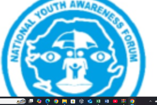 National Youth Awareness Forum-Sierra Leone logo