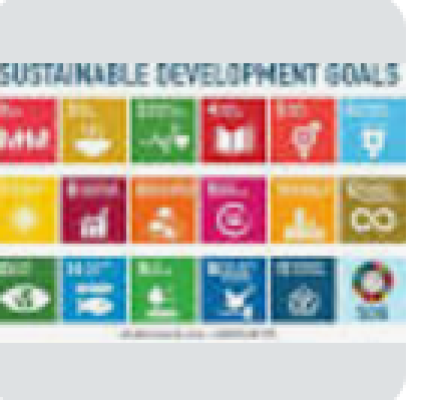 Sustainable Development Initiatives logo
